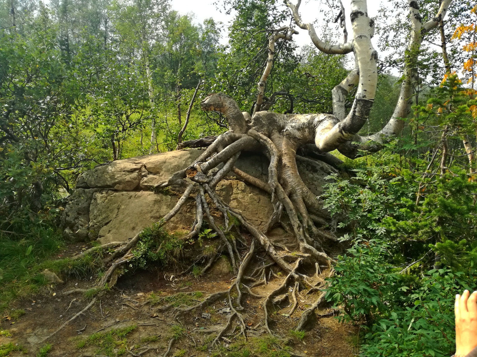 Journey to Ivanovskie Lakes (Khakassia) - My, Travel across Russia, Khakassia, Ivanovo Lakes, Tourism, Nature, The mountains, Suzuki, Longpost