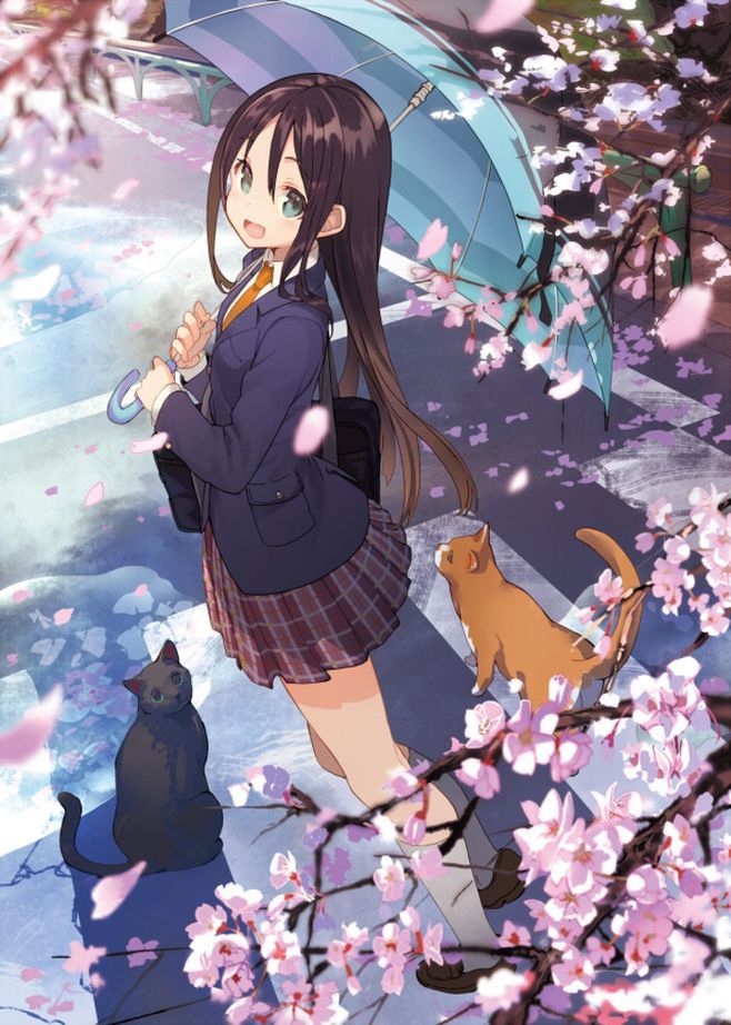 Anime Art - Anime art, Schoolgirls, School uniform, cat