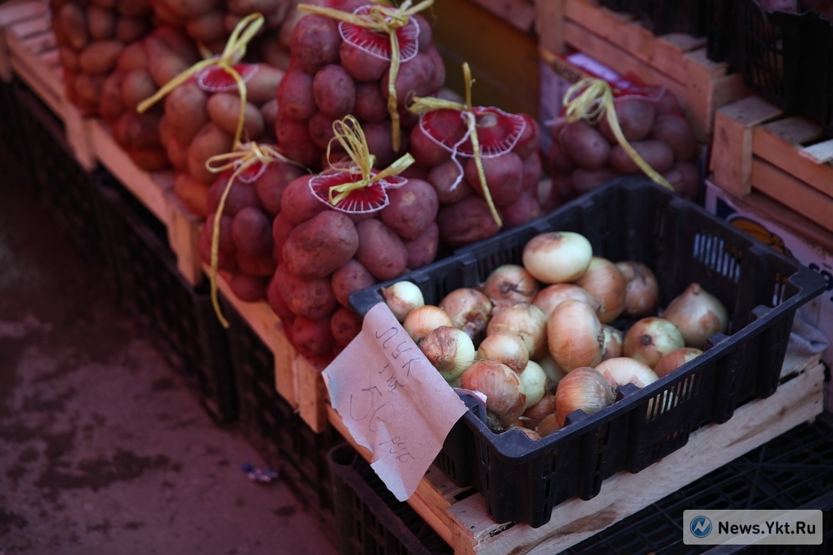 Посмотрите цены на местную продукцию в Якутске - Якутск, Рынок, Овощи и фрукты, Местная продукция, Длиннопост, Овощи