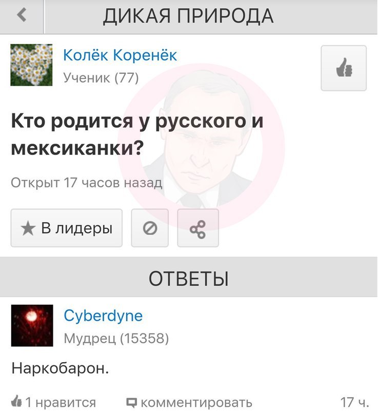 Небольшая подборка ответов - Моё, Mail ru, Mailru ответы, Ответ на майл ру, Длиннопост