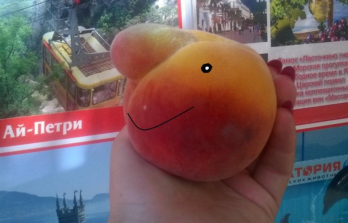 Crimean peach admires the sights of the Crimea. - My, Crimea, Фрукты, Anthropomorphism, swallow's Nest, Cable car, Pareidolia