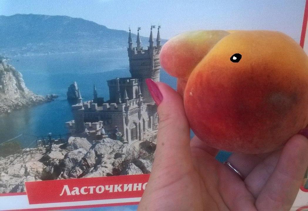 Crimean peach admires the sights of the Crimea. - My, Crimea, Фрукты, Anthropomorphism, swallow's Nest, Cable car, Pareidolia