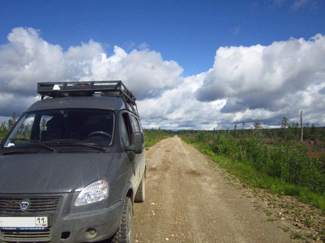 Cartographer's Notes. - My, Longpost, Nature, Forest, Travels, The nature of Russia