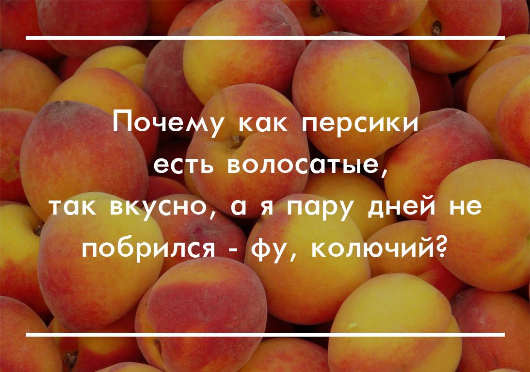 Не понимаю... - Моё, Персик, Лето, Колючий, Борода, Юмор, Фрукты, Шутка, Анекдот, Персики