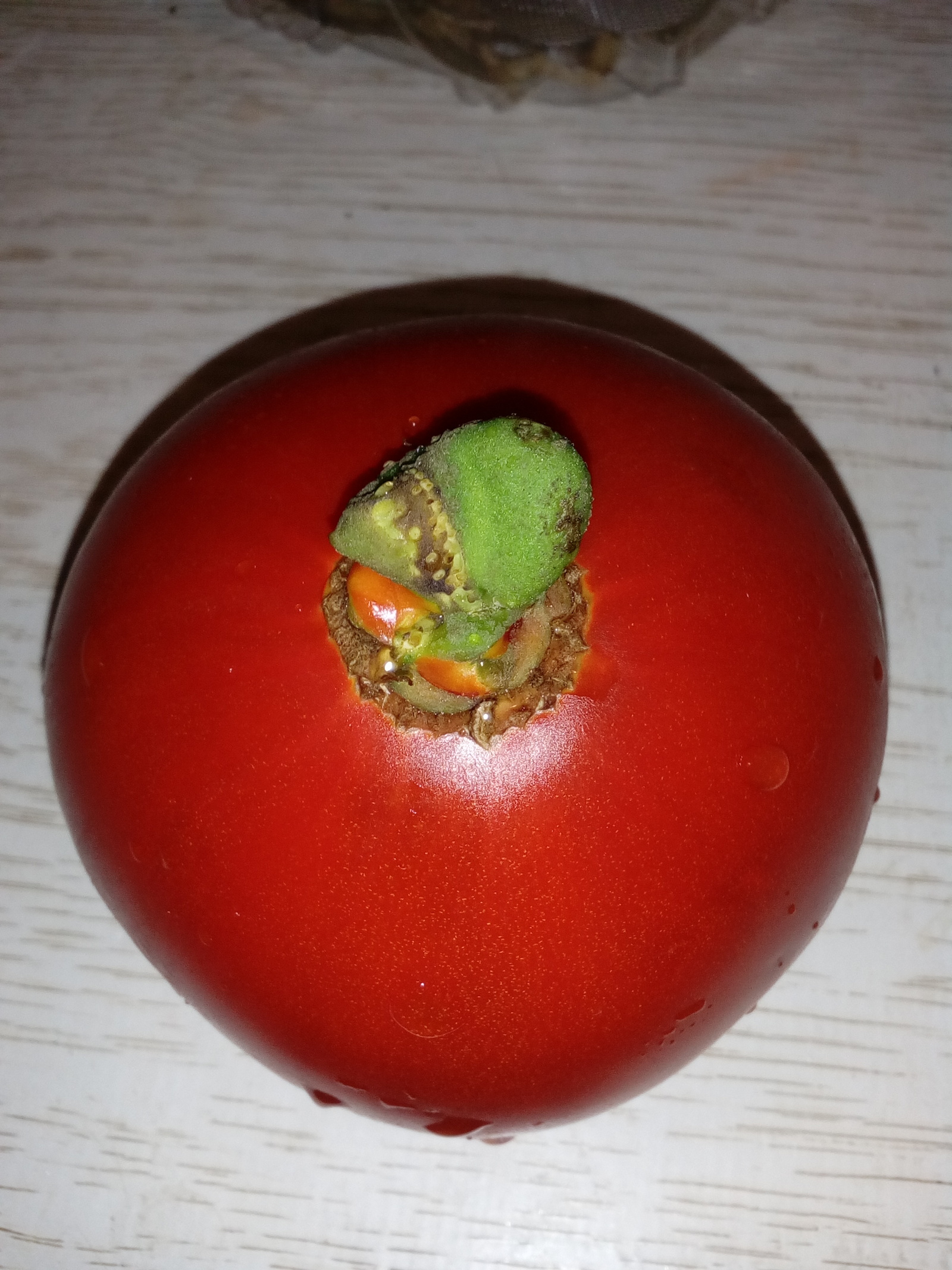 Alien from the greenhouse - My, Alien movie, Tomatoes