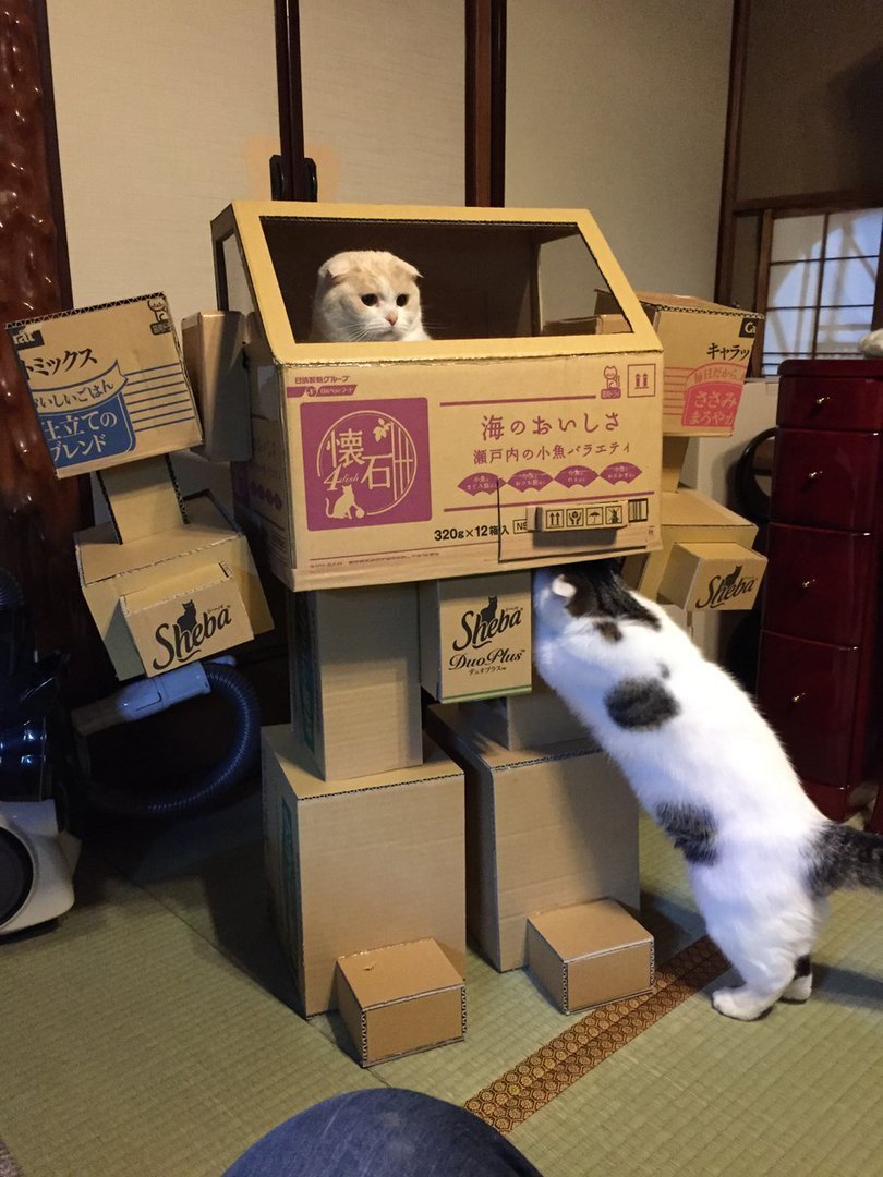 Catbots are preparing an uprising - cat, Kotikidlyahyshostune, Box and cat