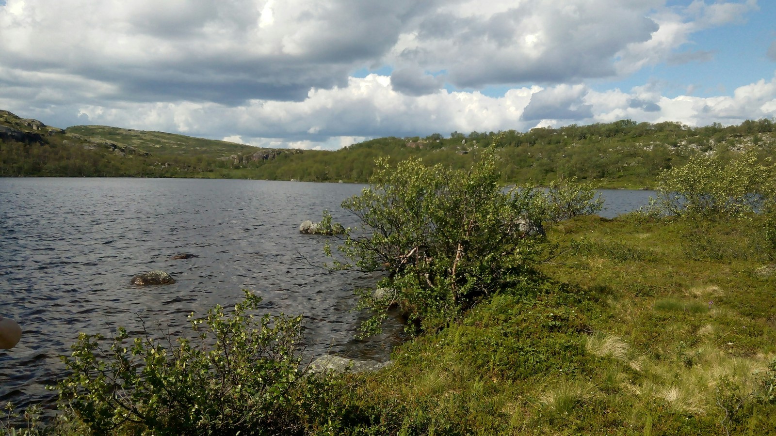 A piece of Vidyayevsky summer - My, Murmansk region, Summer, Hills, Longpost