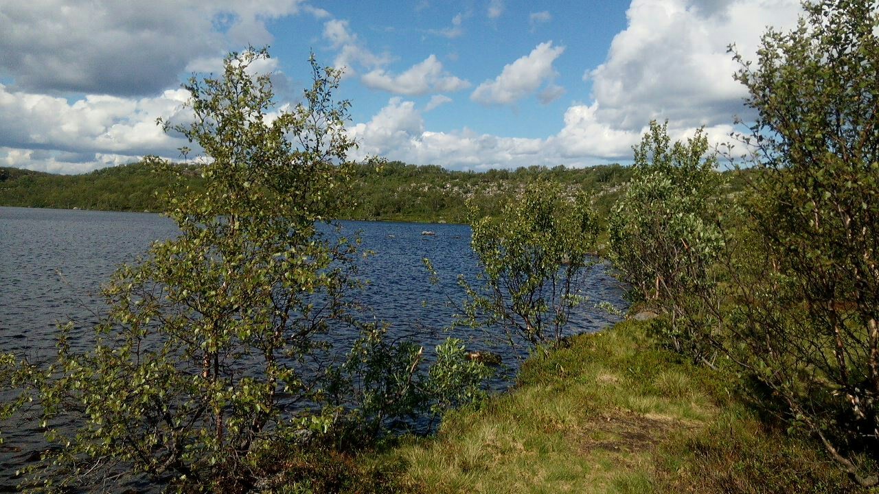 A piece of Vidyayevsky summer - My, Murmansk region, Summer, Hills, Longpost