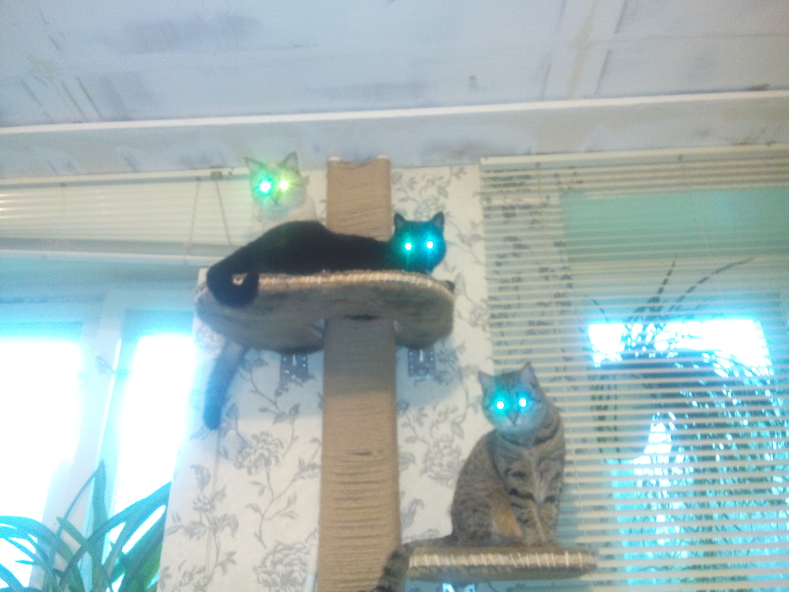 Pipe decor (scratching post) - My, My, cat, Repair, Decor, Scratching post, , Lynx, Night, Longpost