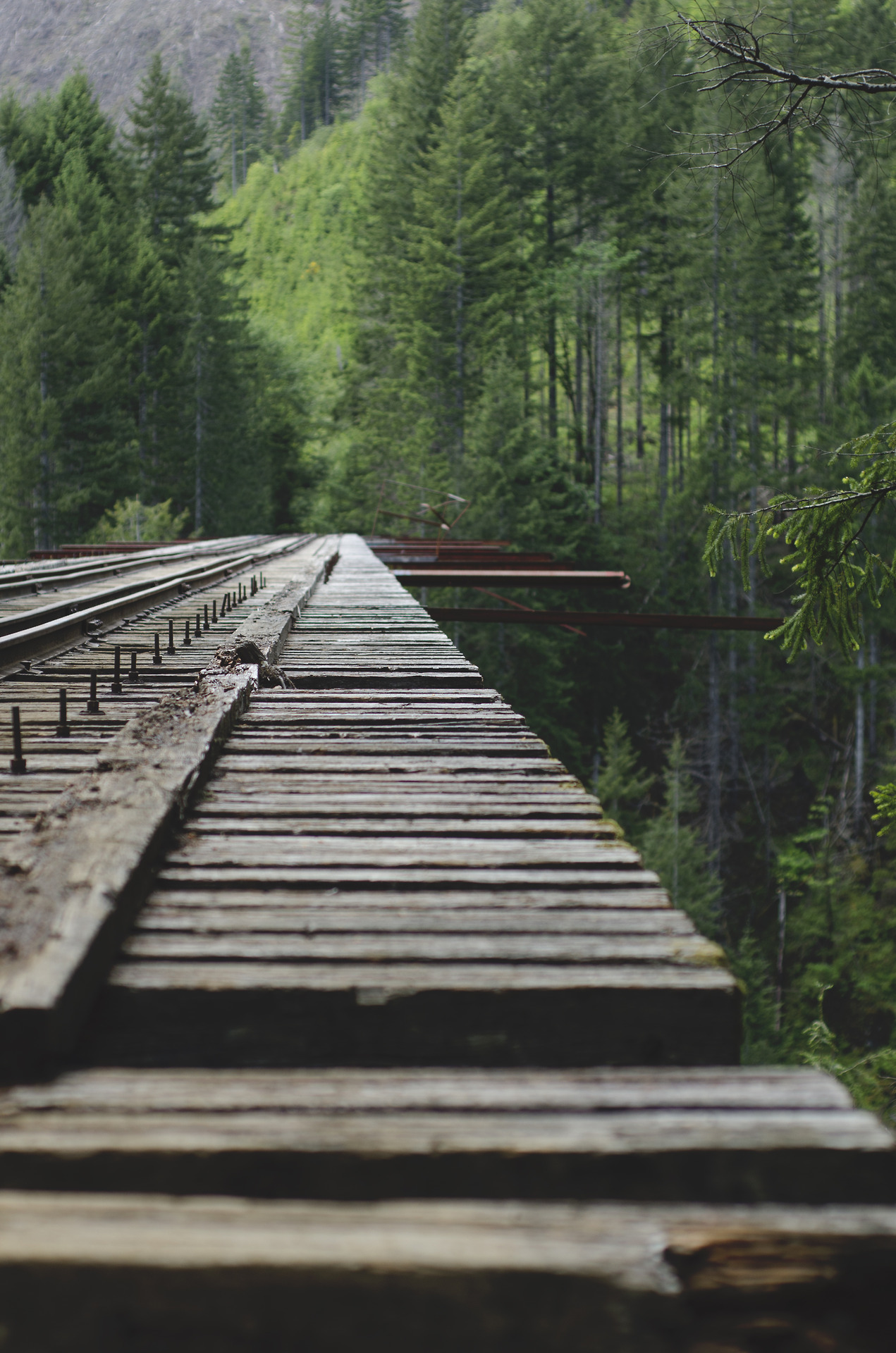 The Vance Creek Bridge - Bridge, Nature, Beautiful view, Lost in Time, Longpost