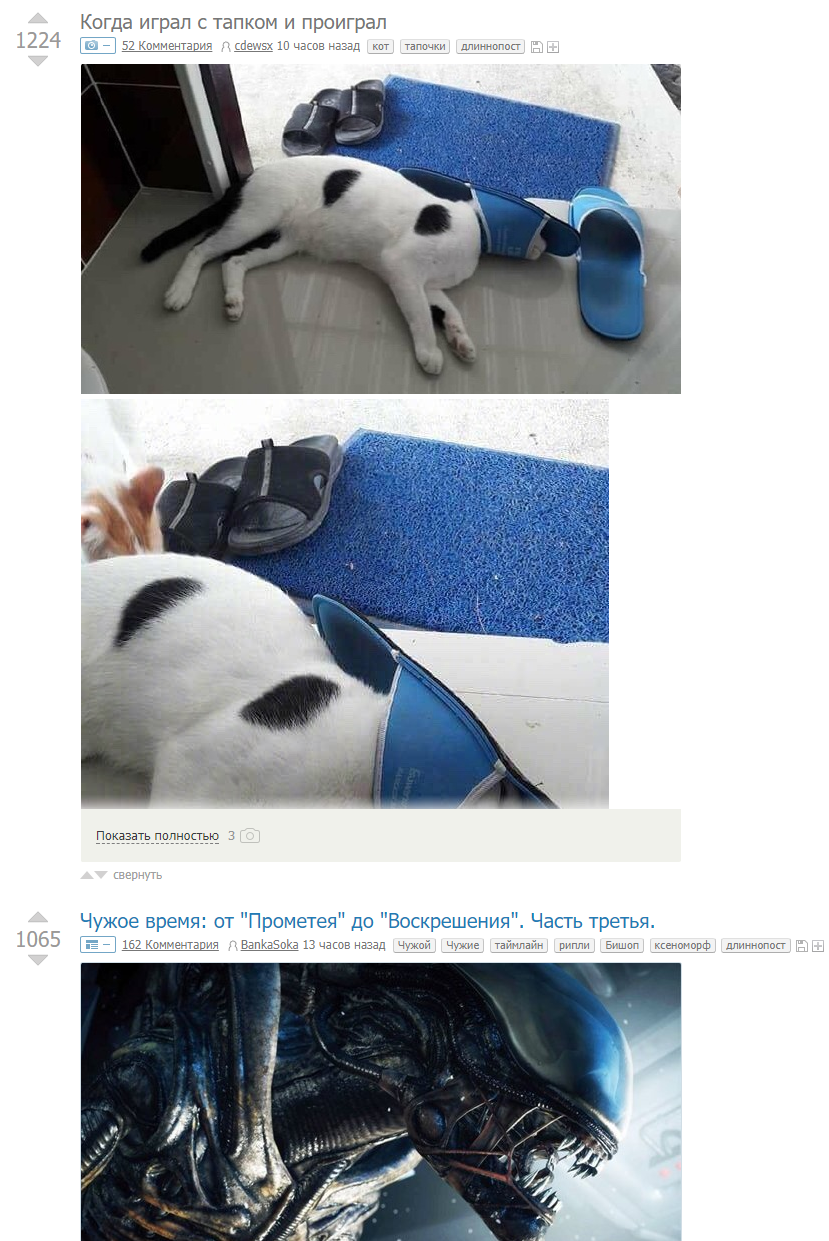 Coincidence..? - cat, Xenomorph, Cosplay