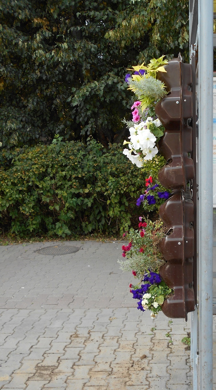 Modular hinged vertical flower bed - My, The photo, Vase, Flower bed, Flowers, Plants, Beautification, Moscow region, Beautiful, Longpost