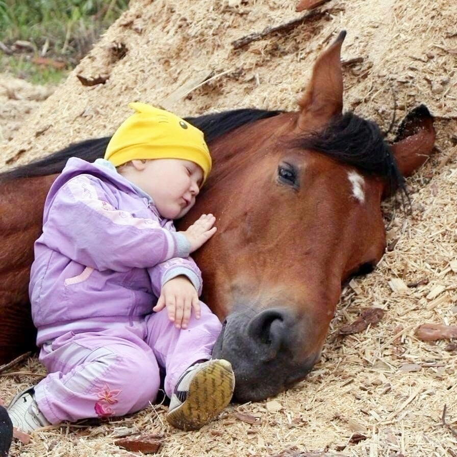 Relaxation - The photo, Children, Horses, Pets, Milota