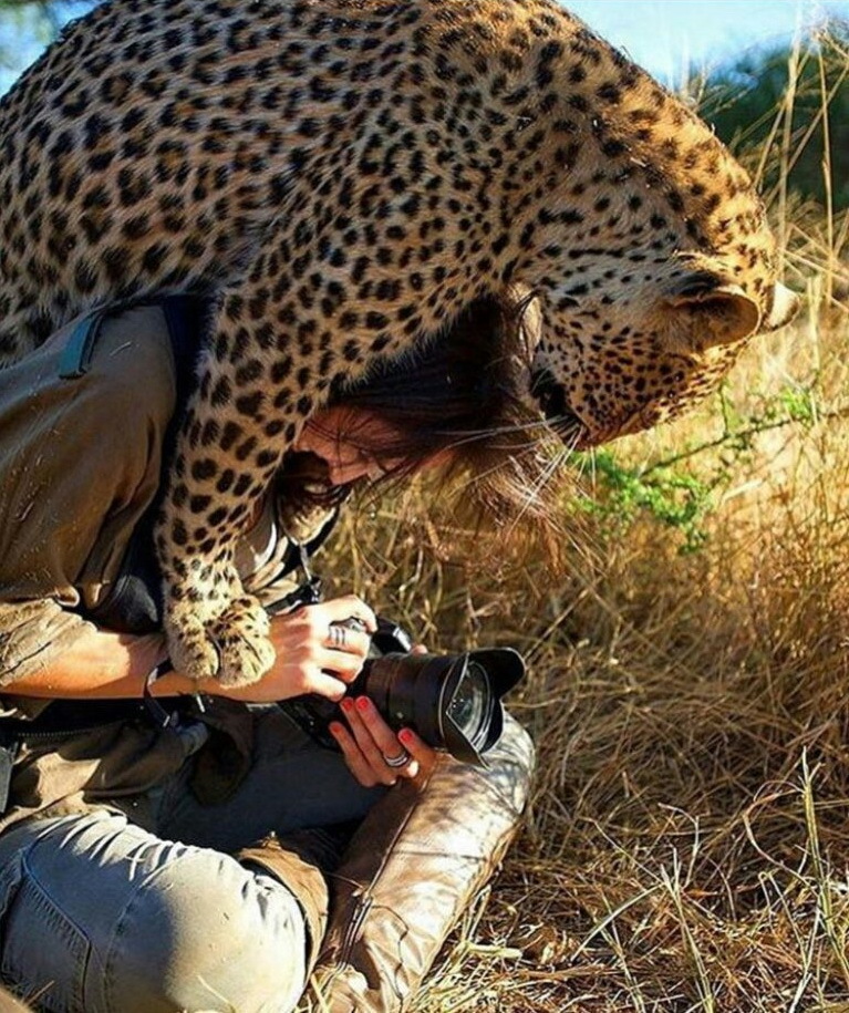 Let me see how I turned out. - The photo, Camera, Girls, Leopard, Animals