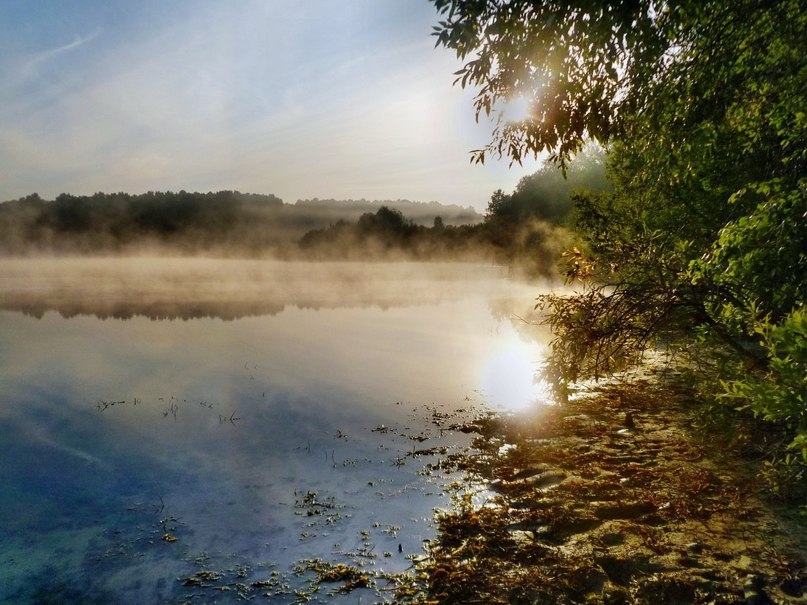 Lake Danilovo, Omsk region. - Omsk, Russia, The photo, Nature, Lake, beauty, Interesting, Longpost