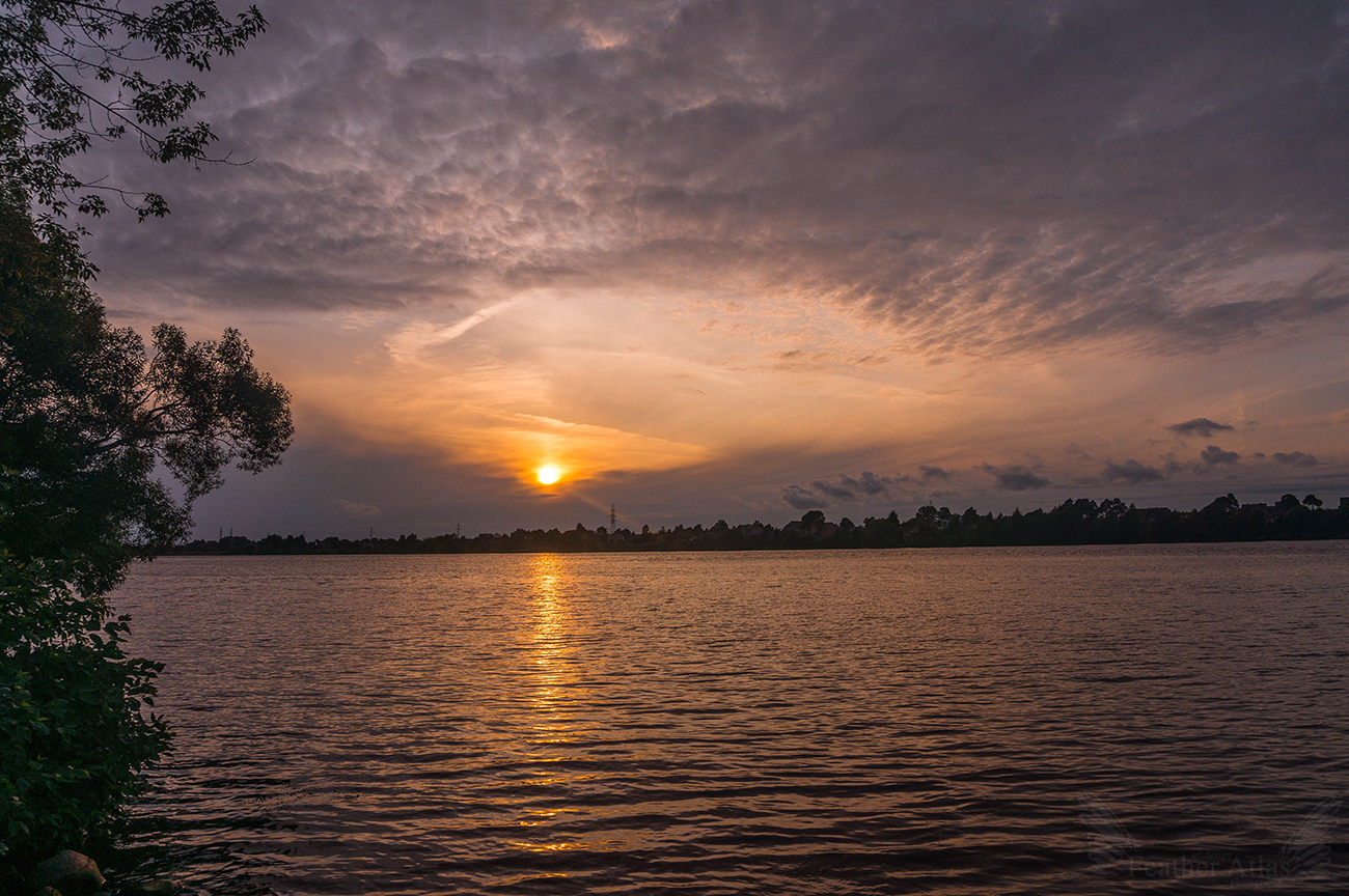 Last Summer Friday 2017 - My, Featheratlas, Nature, Landscape, Flowers, August, Summer, Volga, Sunset, Longpost, Volga river