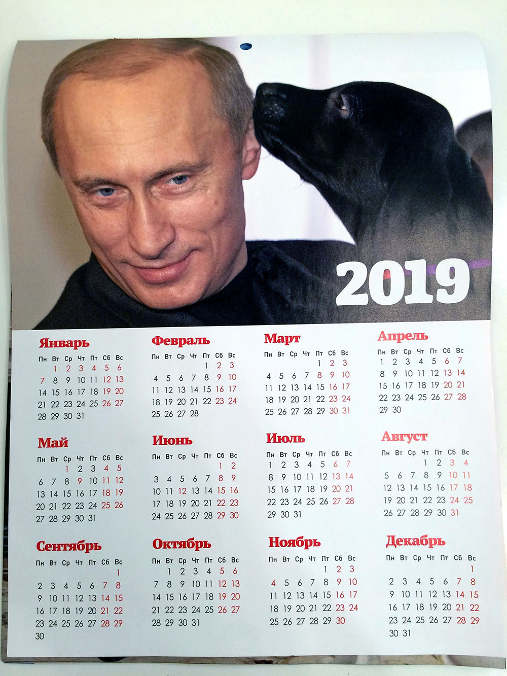 Russia publishes Year of the Dog calendar with president - My, Vladimir Putin, Dogs and people, Dog, The president, Russia, The calendar, Milota, Longpost