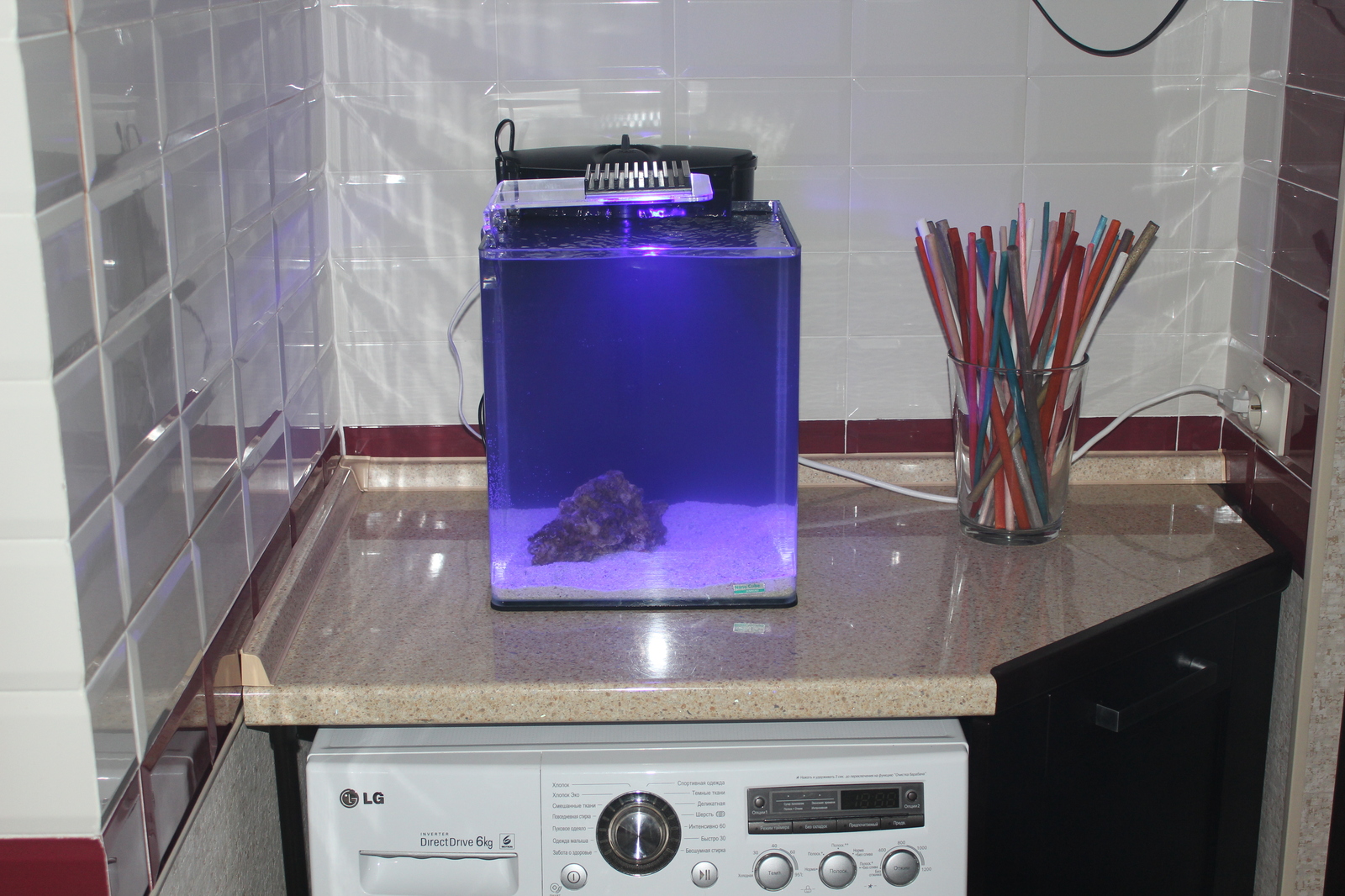 The practical side of starting a marine nano aquarium - My, , Reef, Nanotechnology, Aquarium, Longpost