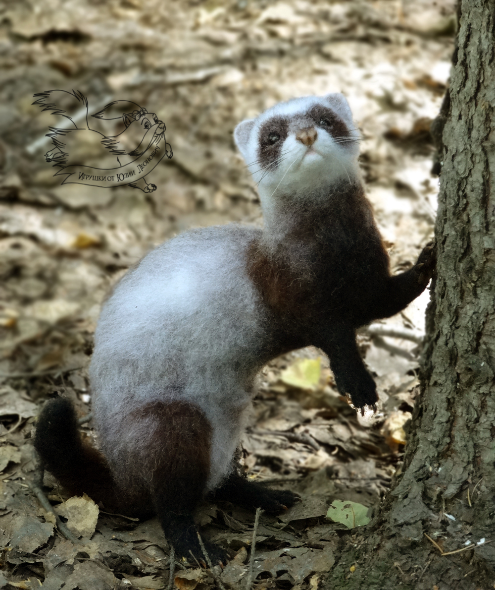 Frame toy. Ferret. - My, Dry felting, Wallow, Ferret, Ferret, Author's toy, Pets, Wild animals, Cunyi, Longpost