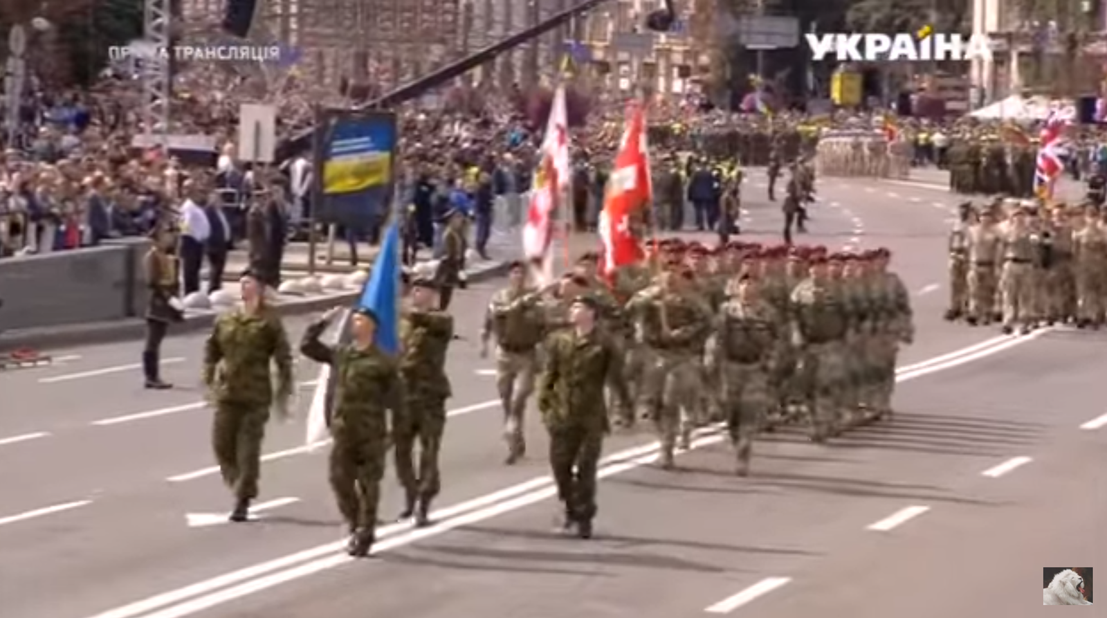 Lost opportunity. - Vladimir Putin, Kiev, Humor, Politics, Parade