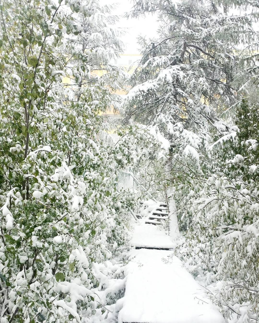 Winter Is Coming! Yakutia August 26, 2017 - Yakutia, Aikhal, , The winter is coming, The photo, Longpost