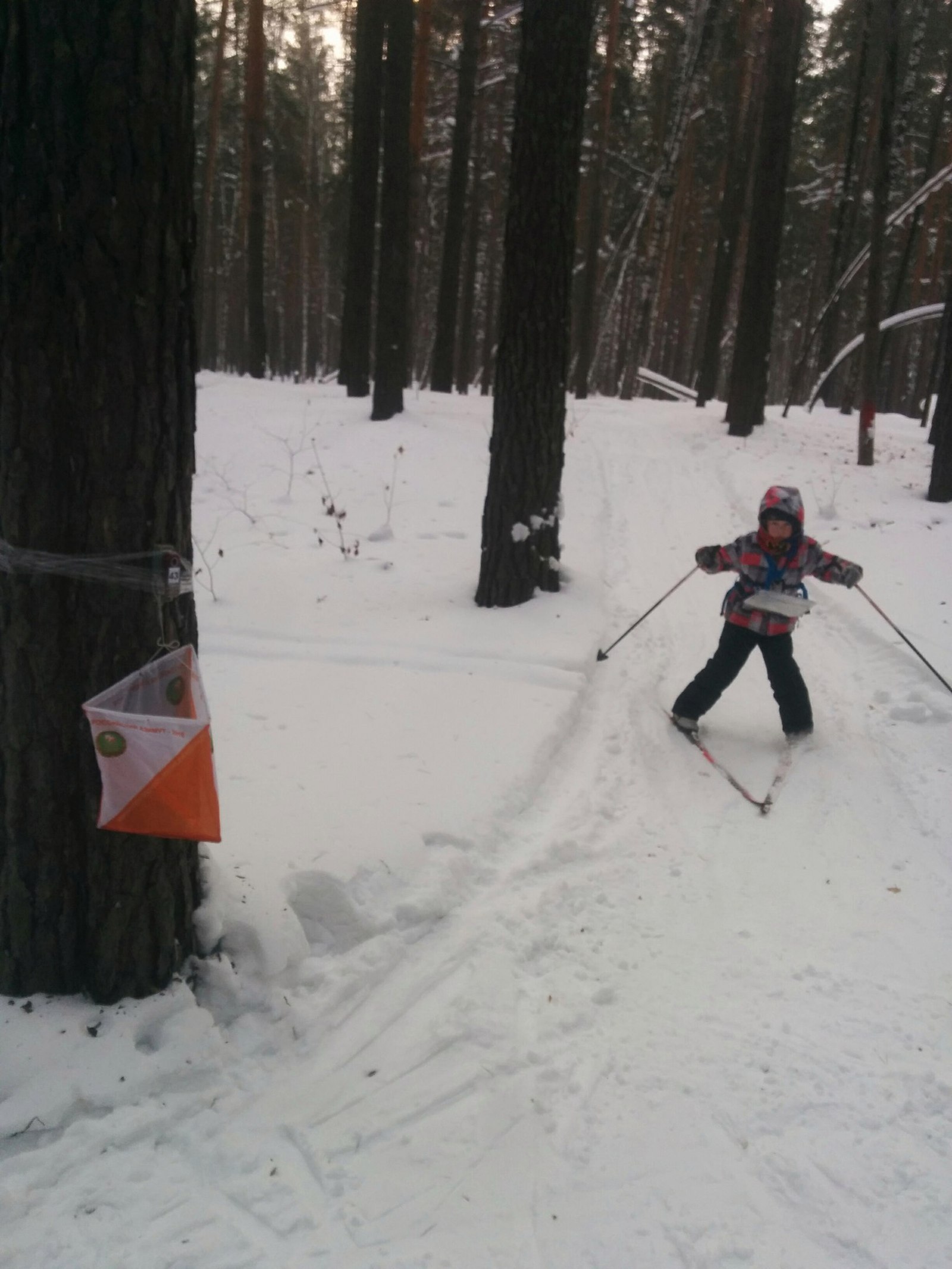 A little about orienteering. - Orientation, Orienteering, Sport, Physical Education, Text, , Longpost