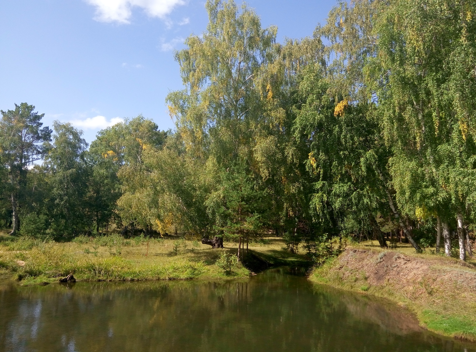 Karkaralinsk - My, Kazakhstan, Forest, Karkaralinsk, Tree, The photo, My, Longpost