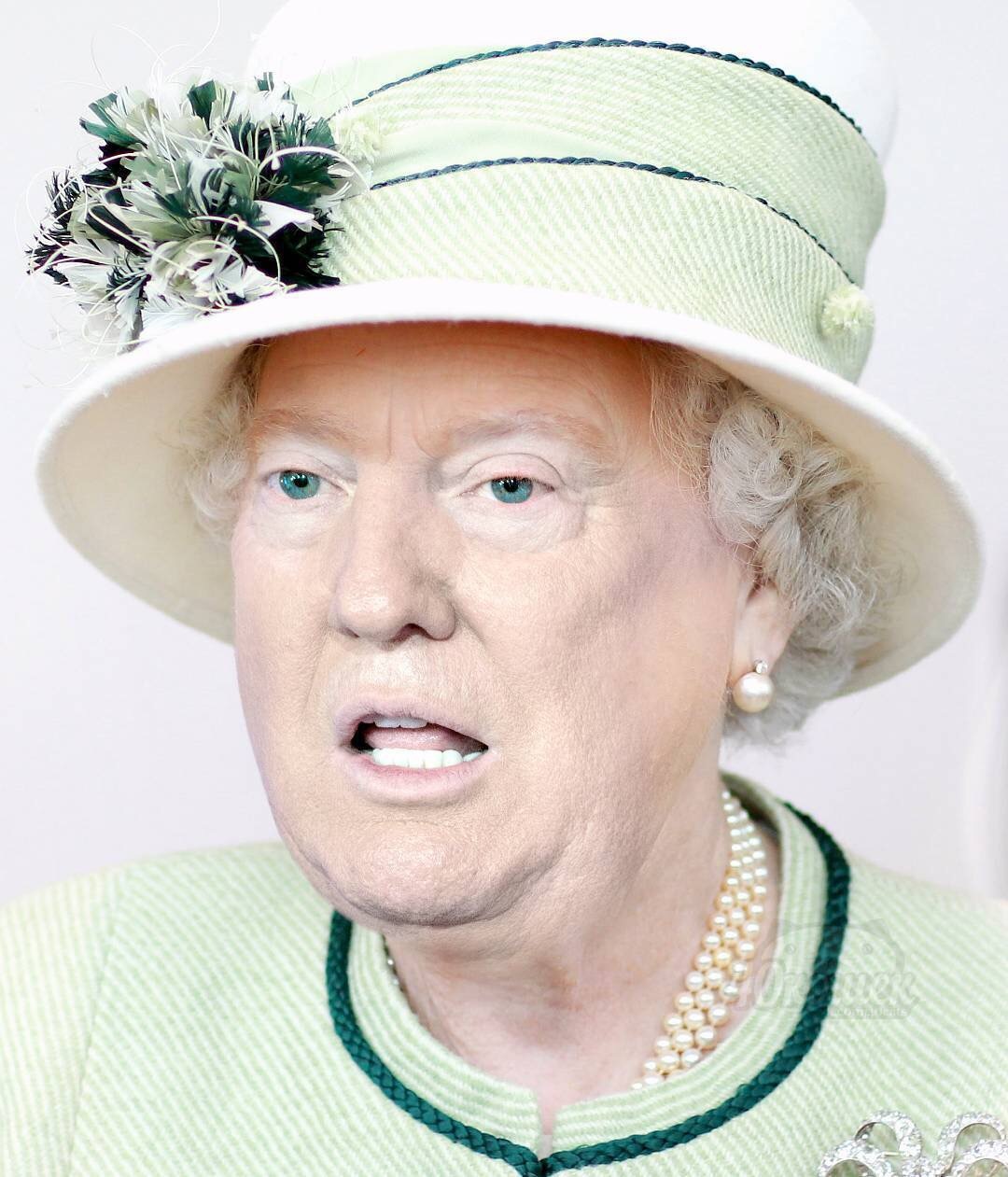 With a slight movement, the queen turns ... - Donald Trump, Queen Elizabeth, Photoshop, In contact with, Longpost, Queen Elizabeth II, Face