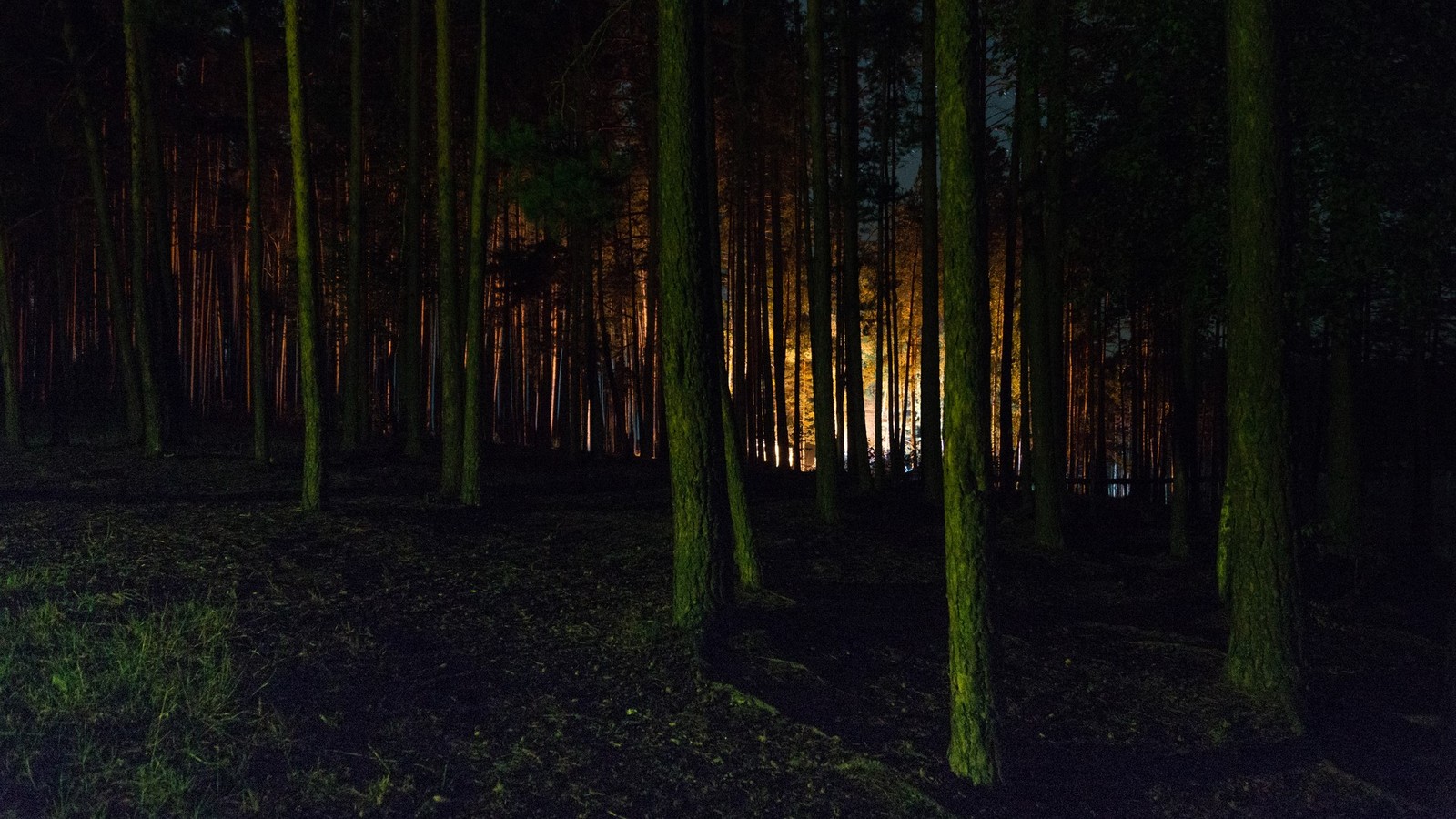 Lakes Lebedinsky and Izyary - My, Chuvashia, Zavolzhye, Summer, Night, Forest, Landscape, Starry sky, Longpost