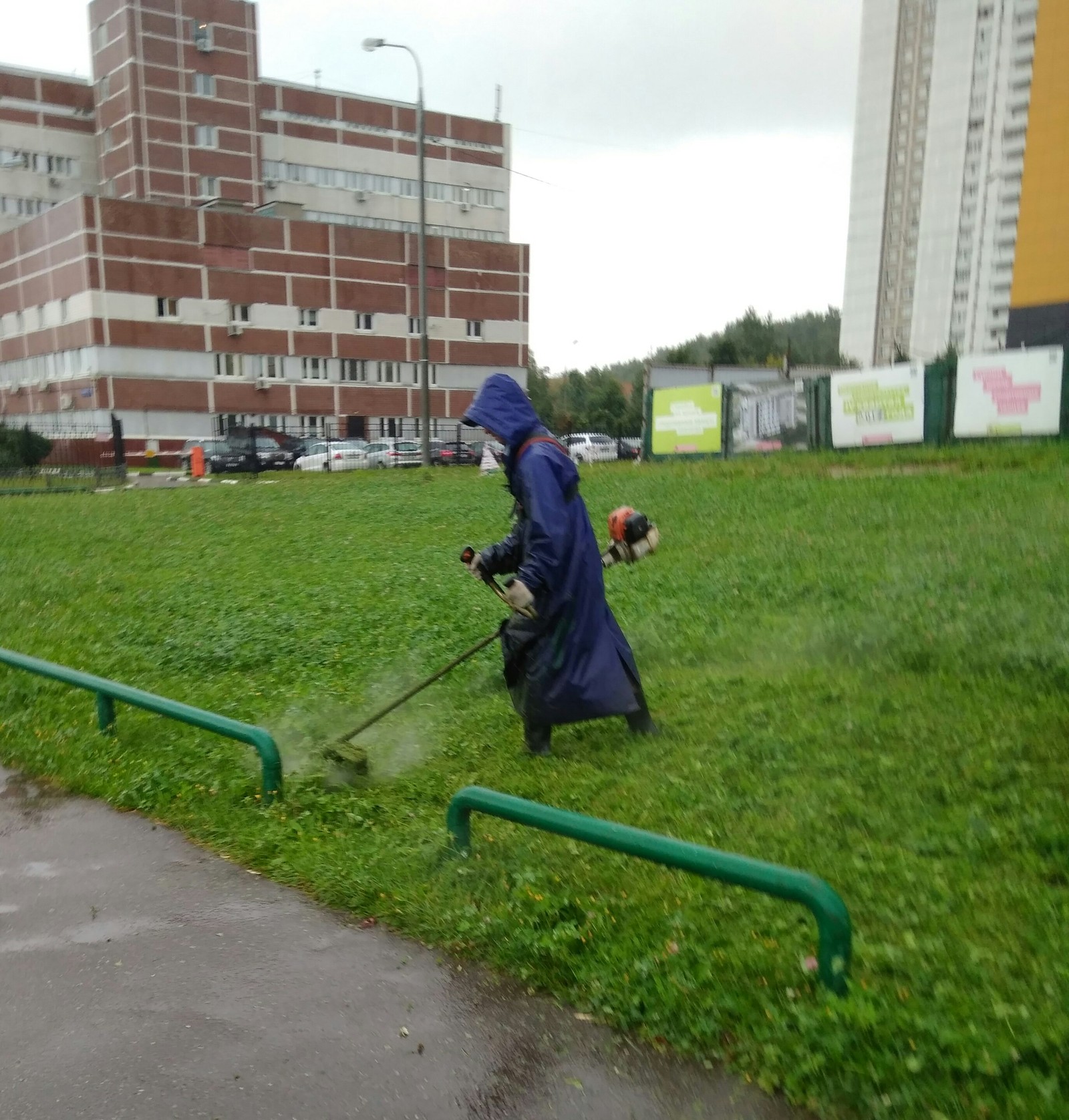 Shut up, shut up!!! - My, Mowing, The photo, Rain, Tags are clearly not mine