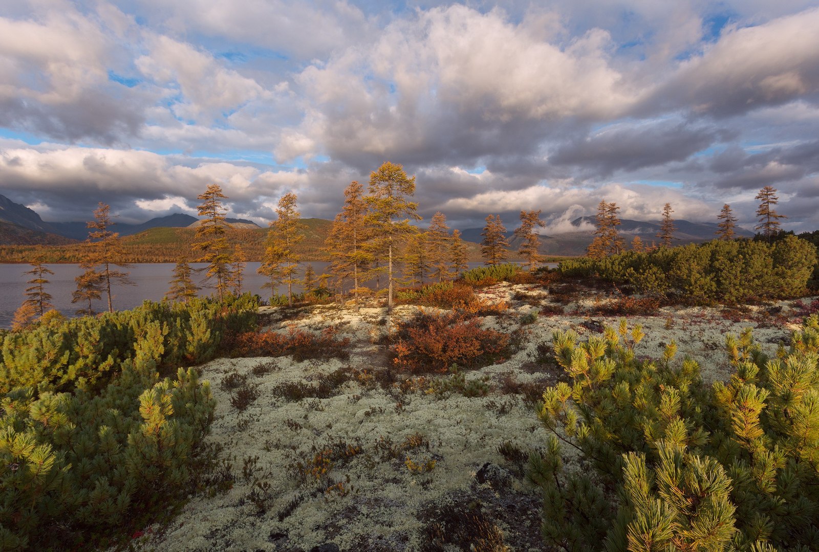 Kolyma - , Russia, The photo, Nature, Landscape, Gotta go, Longpost