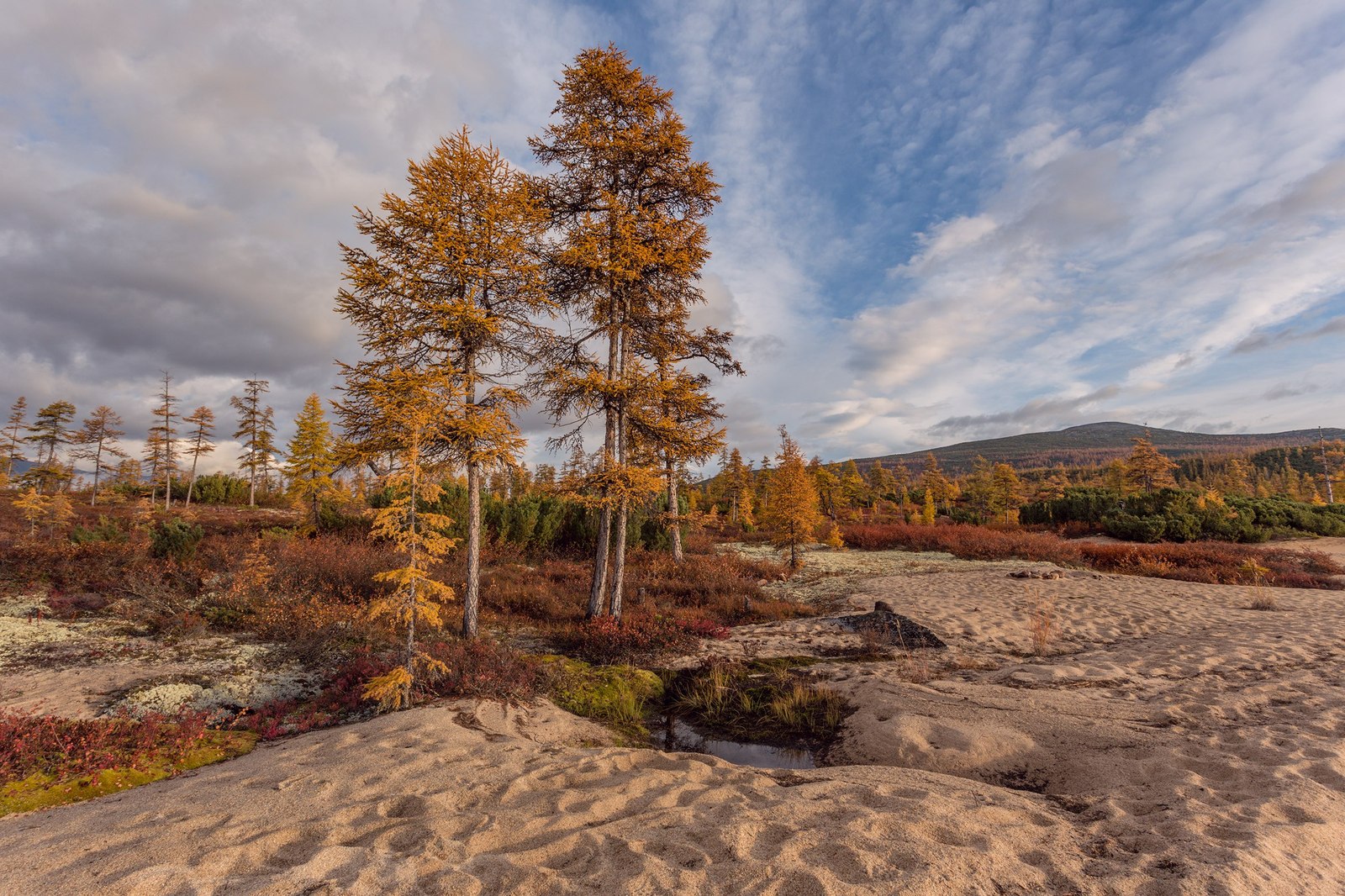 Kolyma - , Russia, The photo, Nature, Landscape, Gotta go, Longpost