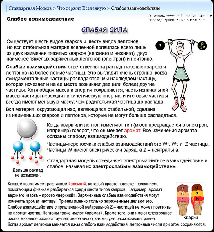 Standard Model. - My, Physics, Nauchpop, Models, Longpost