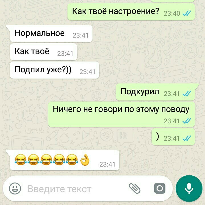 Взаимопонимание - Моё, Whatsapp, Вечер, Взаимопонимание