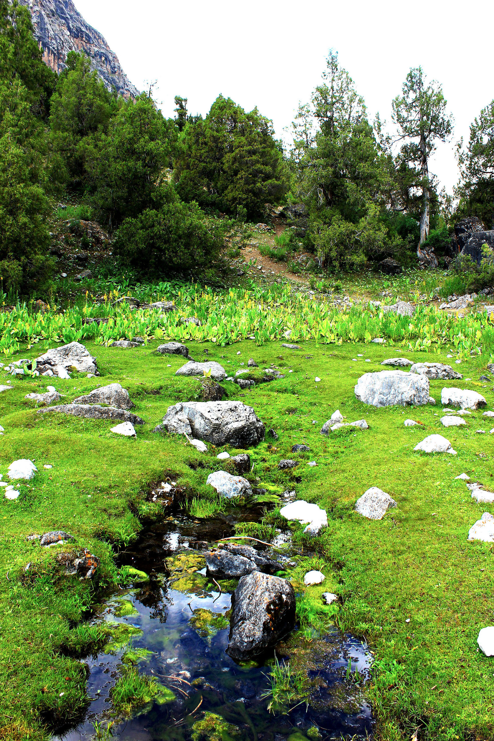 Rock garden created by nature. - My, Natural stones, Grass, Water, Longpost