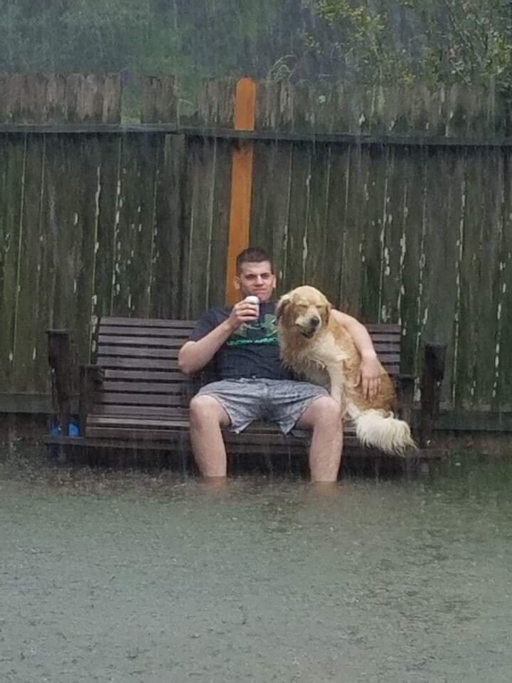 Friendship - do not spill water ... - Dog, Rain, friendship