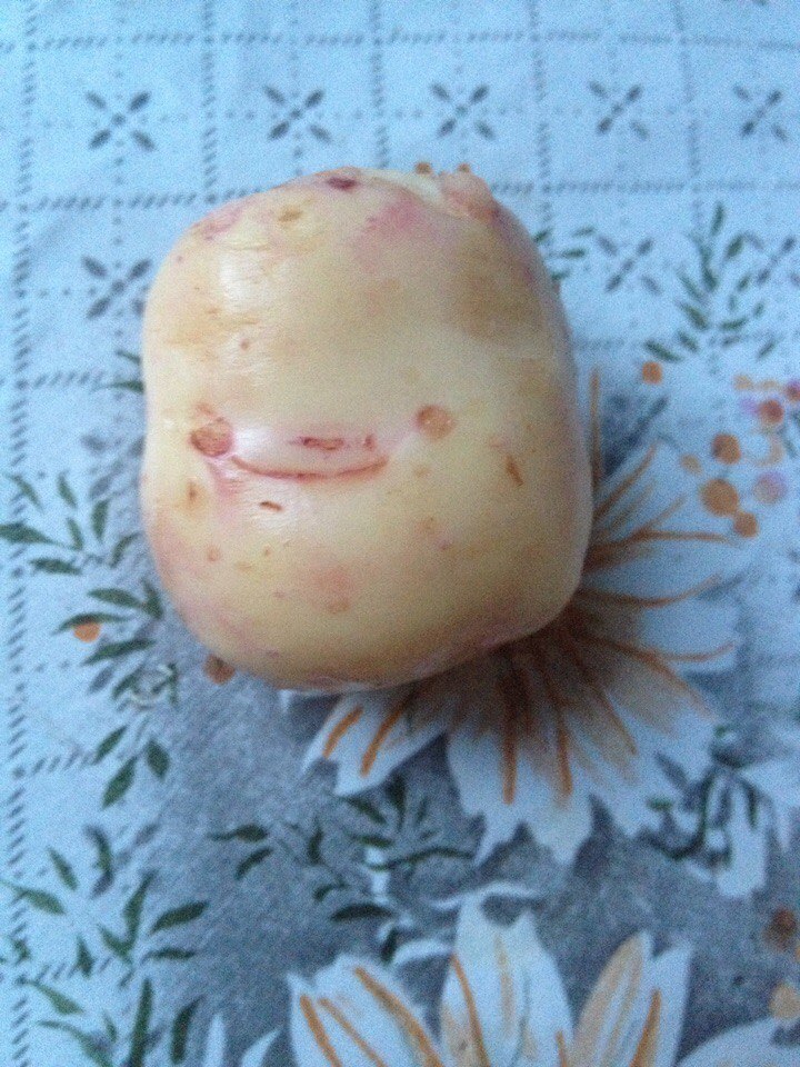 Merry potato - My, , , 