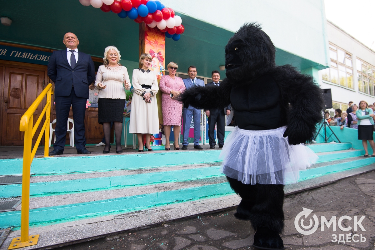 We have our own atmosphere here - Omsk, School, September 1, Gorilla