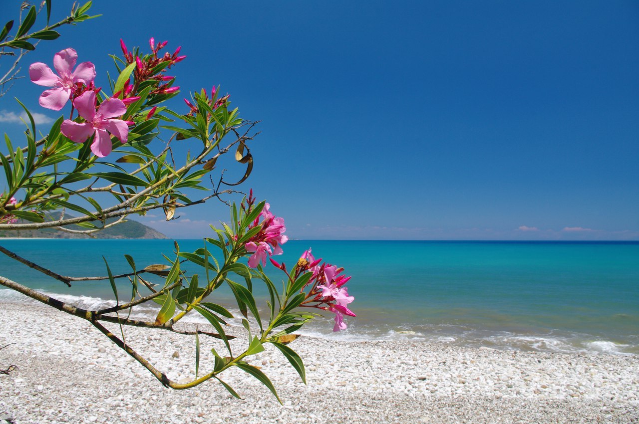 Cirali, day three and half past four. - My, Turkey, Tourism, Travels, Cirali, , Beach, The photo, dawn, Longpost