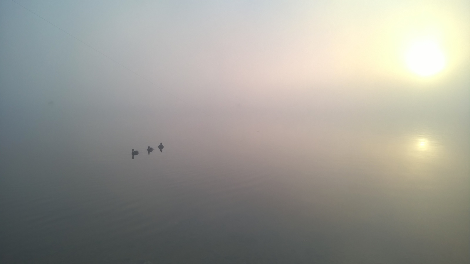 Volga morning. first fog. - My, The photo, 