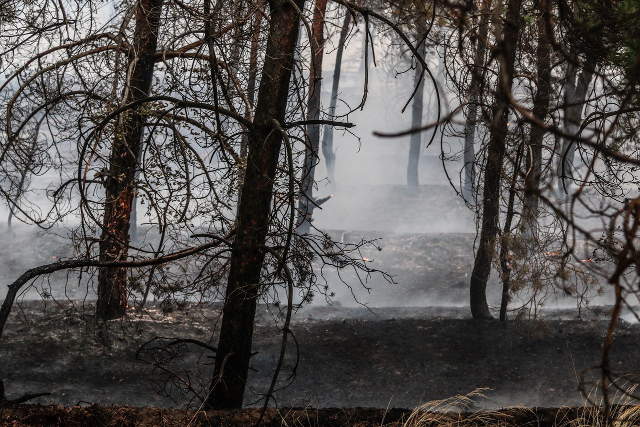 The largest natural fires in Volgograd - My, Ministry of Emergency Situations, Volgograd, Video, Longpost