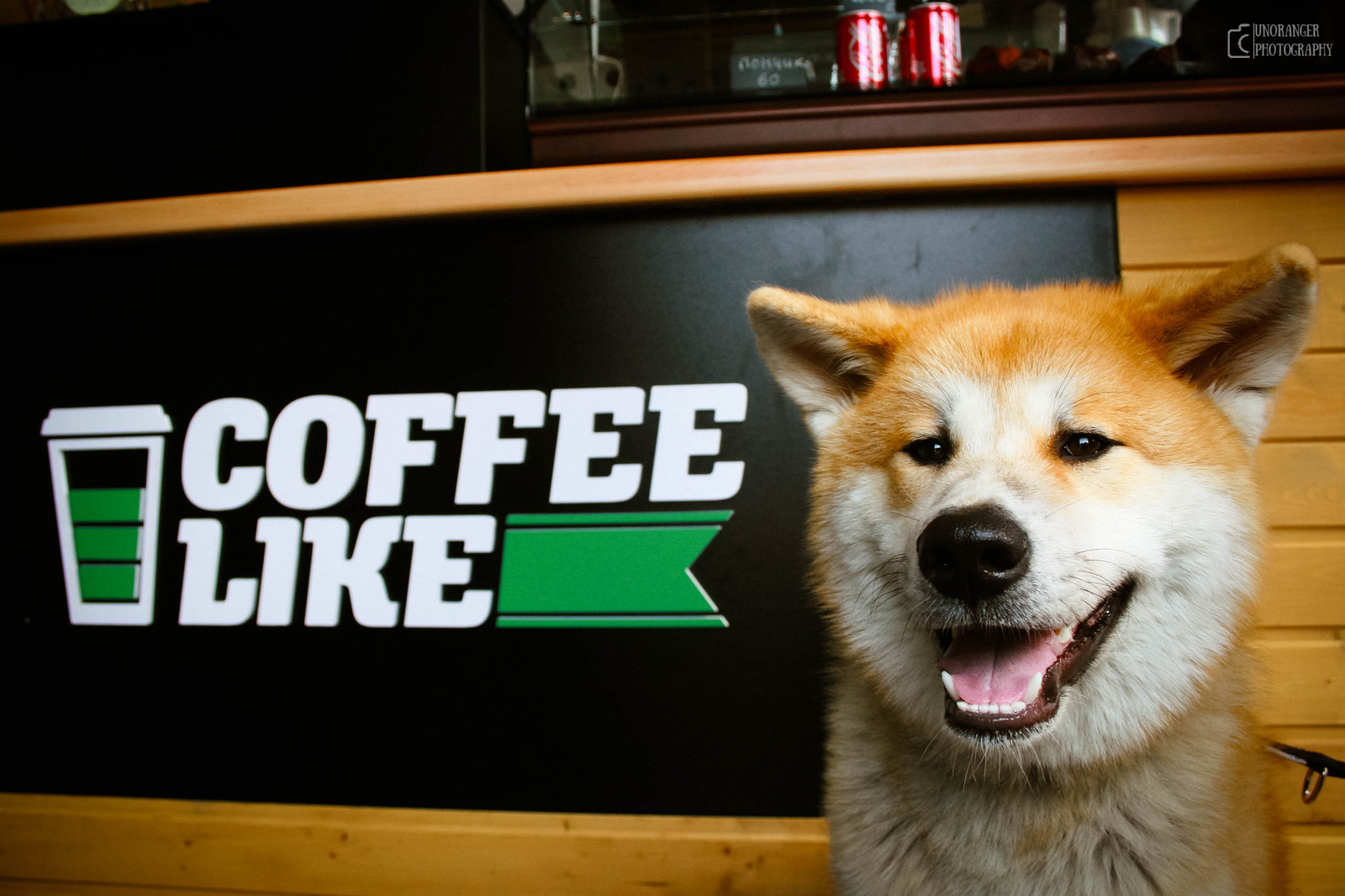 My dog. Coffee like Махачкала.