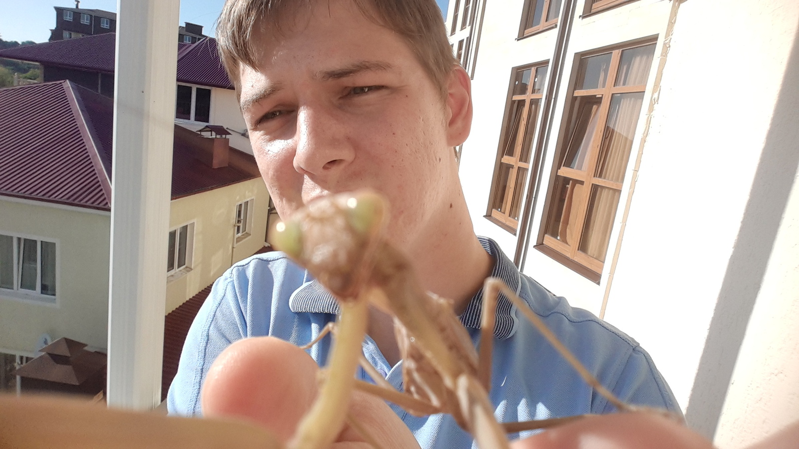 Selfie with a praying mantis. - My, Mantis, Selfie