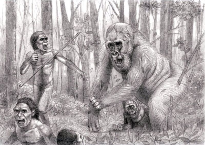 Bigfoot of prehistoric asia. - Yeti, Giants, Primates, Asia, Longpost