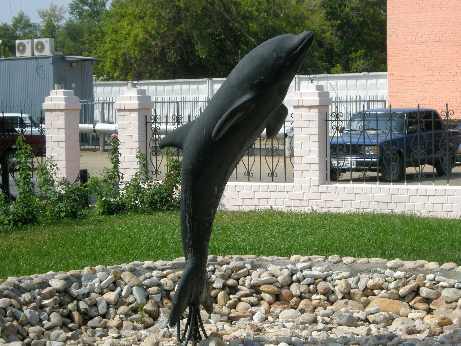 Картинка черный дельфин