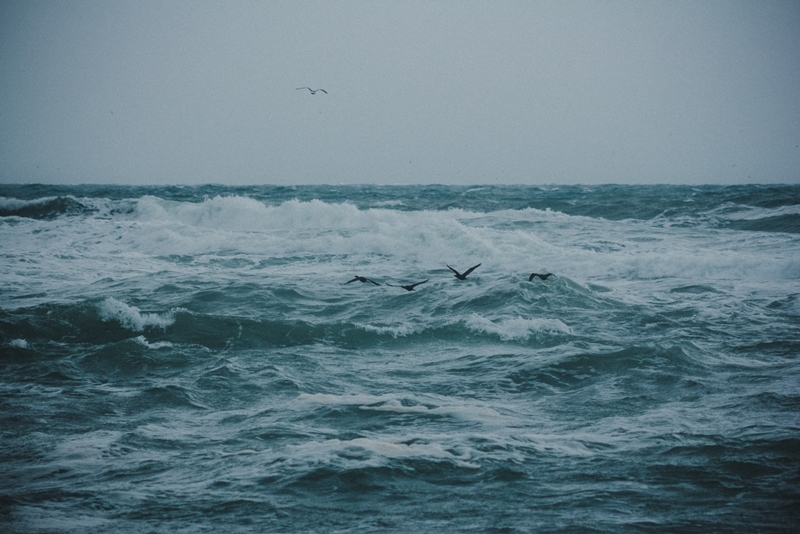 Stormy sea - My, Black Sea, Storm, Novorossiysk, wide beam, Birds, , Manual optics, Helios 77m-4, Longpost, Canon 60d