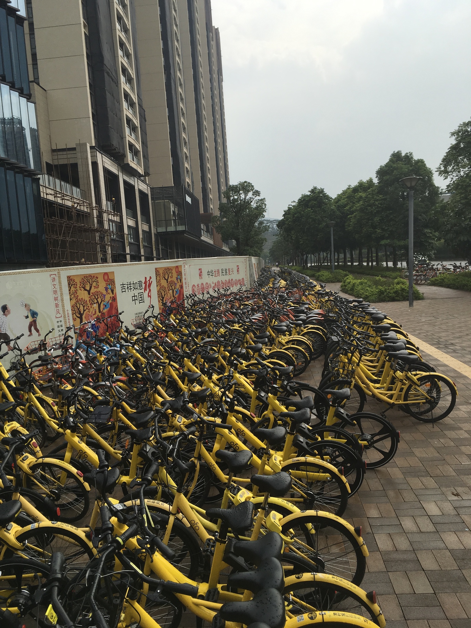 Chinese rental bike boom - My, China, A bike, Pathos, Not like everyone else, New items, Longpost