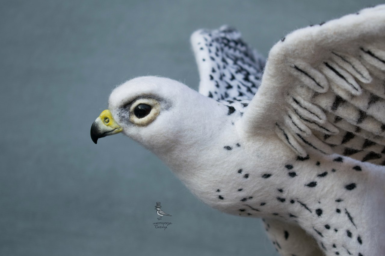 White gyrfalcon. dry felting - My, Needlework without process, Falcon, Merlin, Dry felting, My, Birds, Longpost