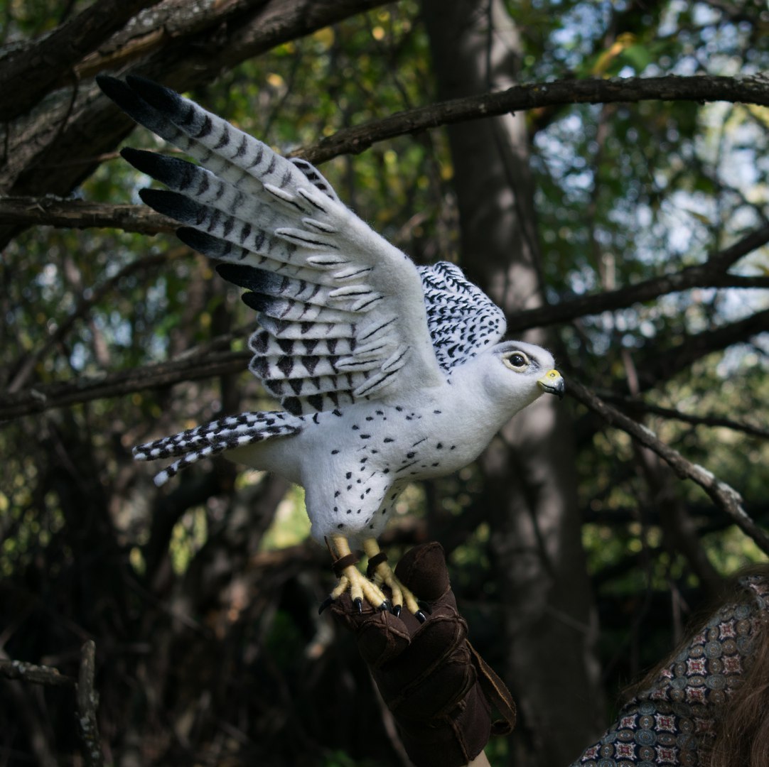 White gyrfalcon. dry felting - My, Needlework without process, Falcon, Merlin, Dry felting, My, Birds, Longpost