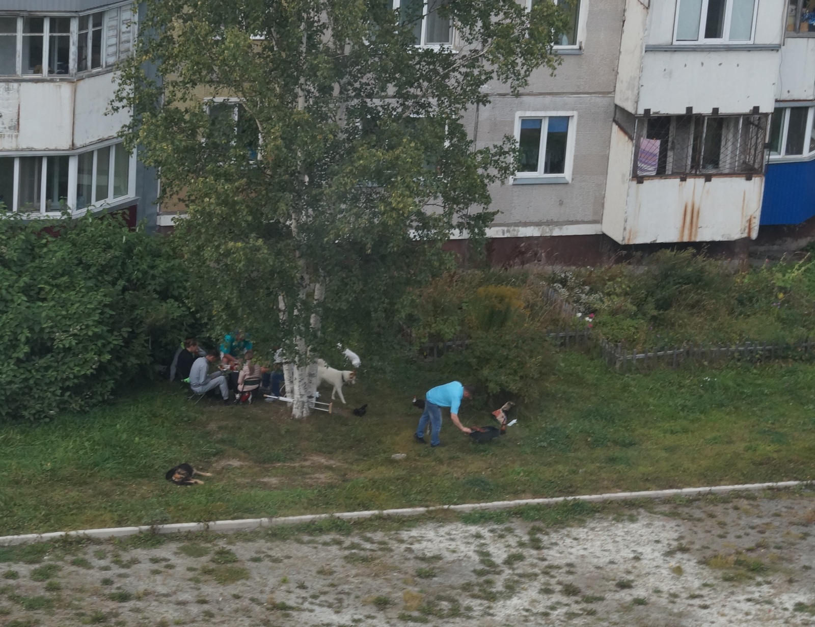 Picnic in the yard - My, Picnic, Shashlik, Relaxation, Courtyard